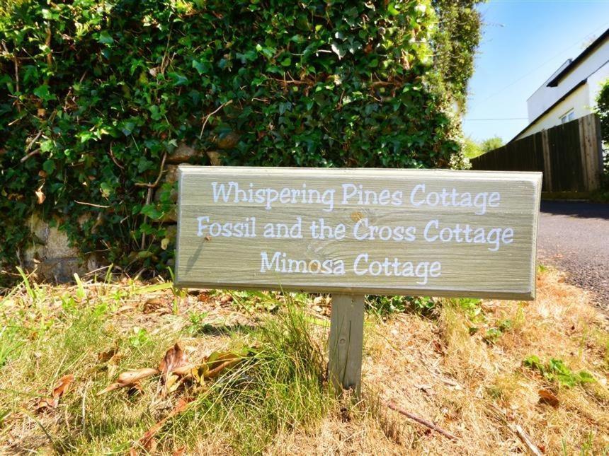 Whispering Pines Cottage Swyre 外观 照片